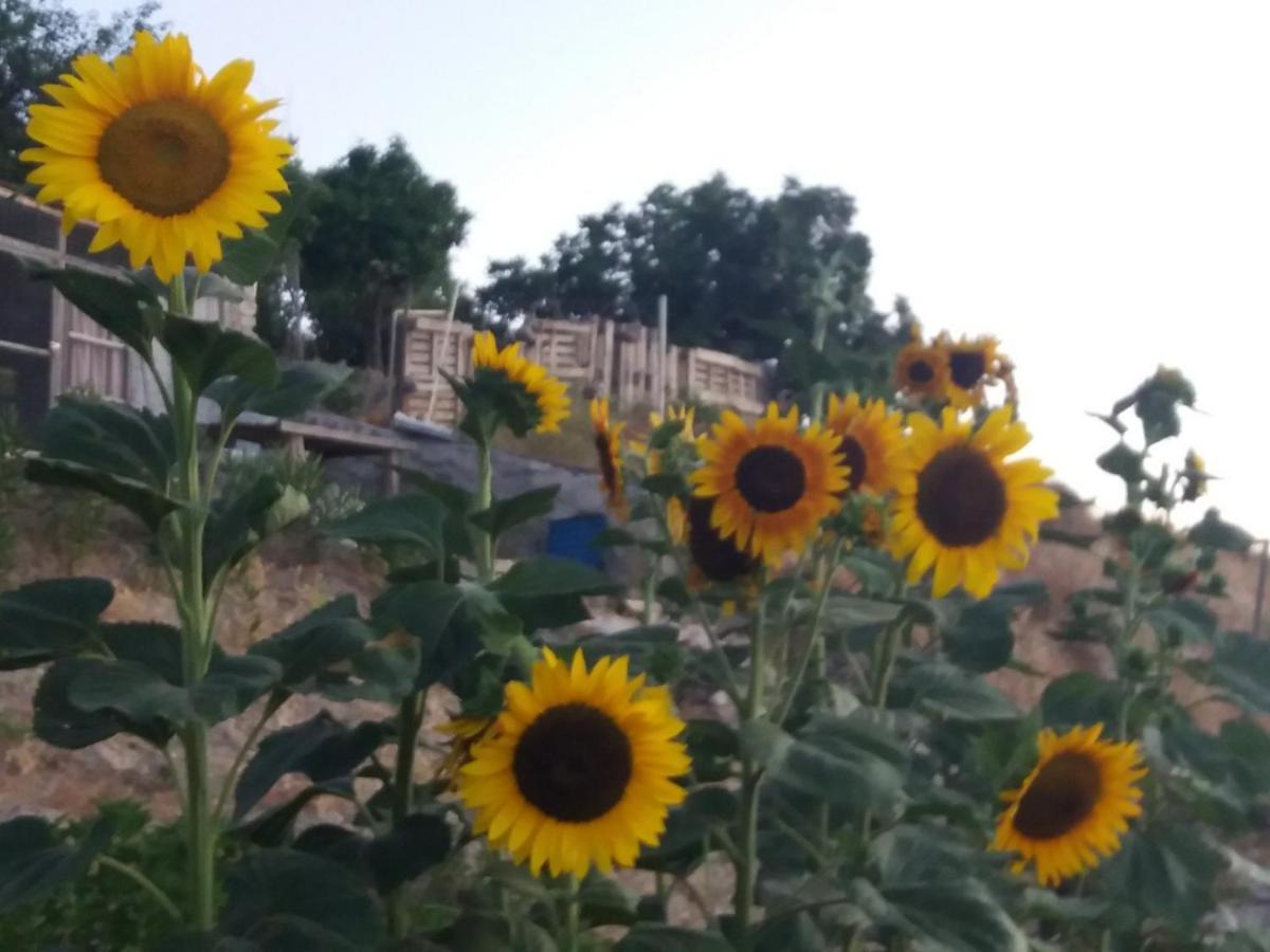 Georgia'S House Bed & Breakfast Fyti Екстериор снимка